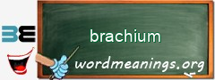 WordMeaning blackboard for brachium